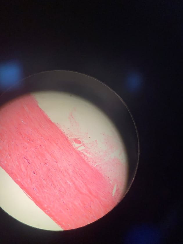 World Science Day - Carousel For News Detail